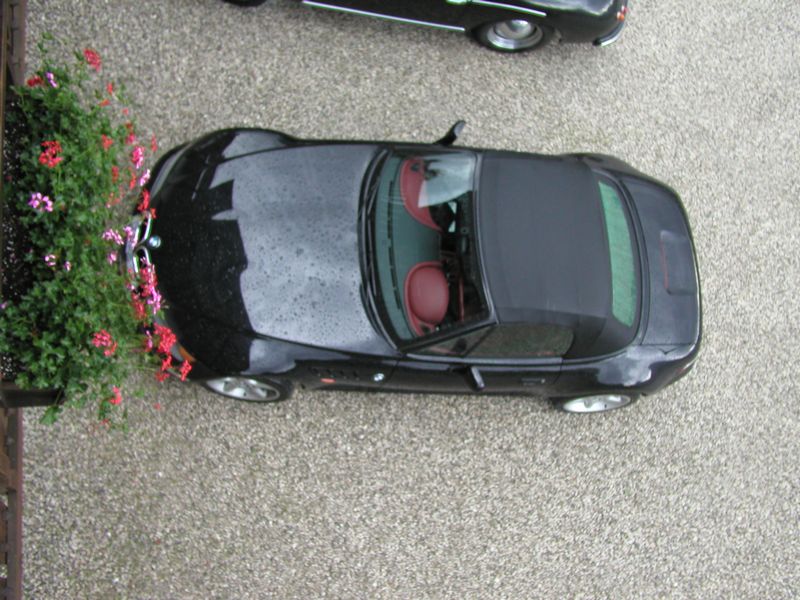 Click to see next picture