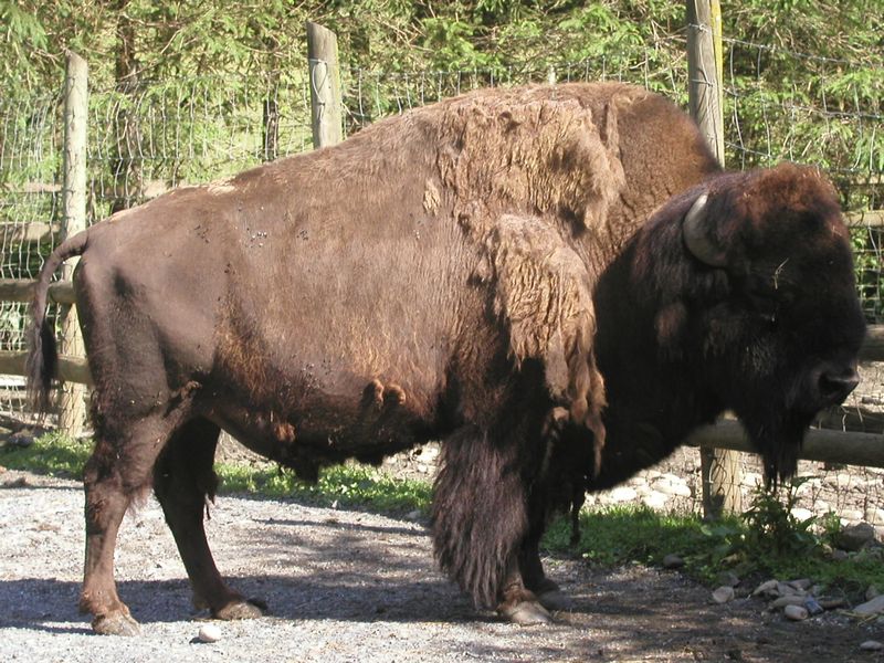 Click to see next picture