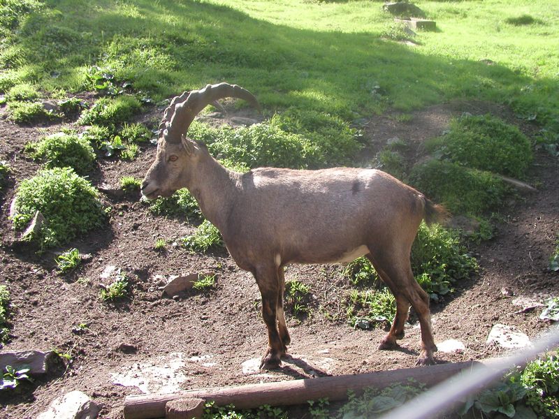 Click to see next picture