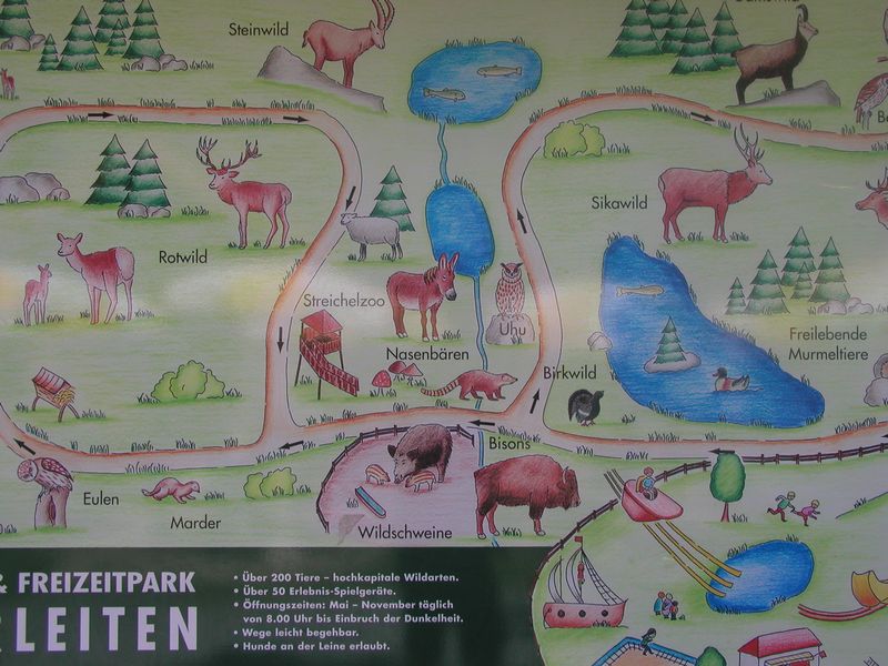 Click to see next picture