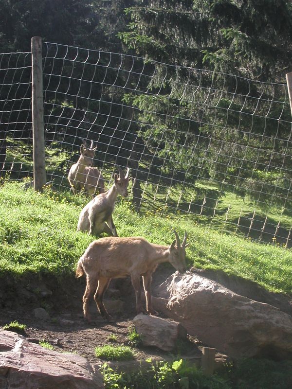 Click to see next picture