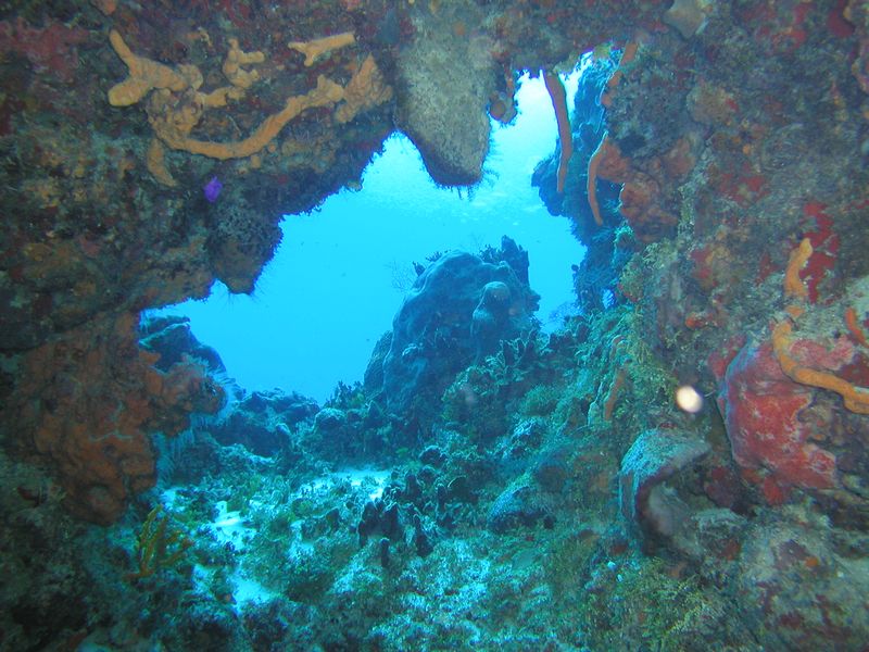 Click to see next picture