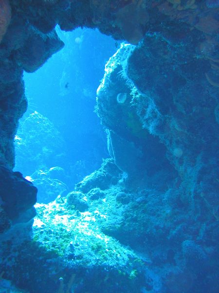 Click to see next picture