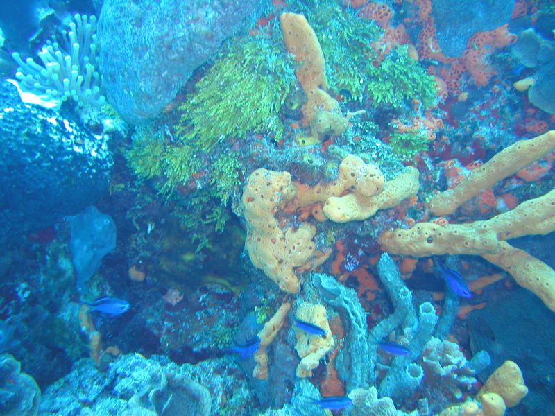 Click to see next picture