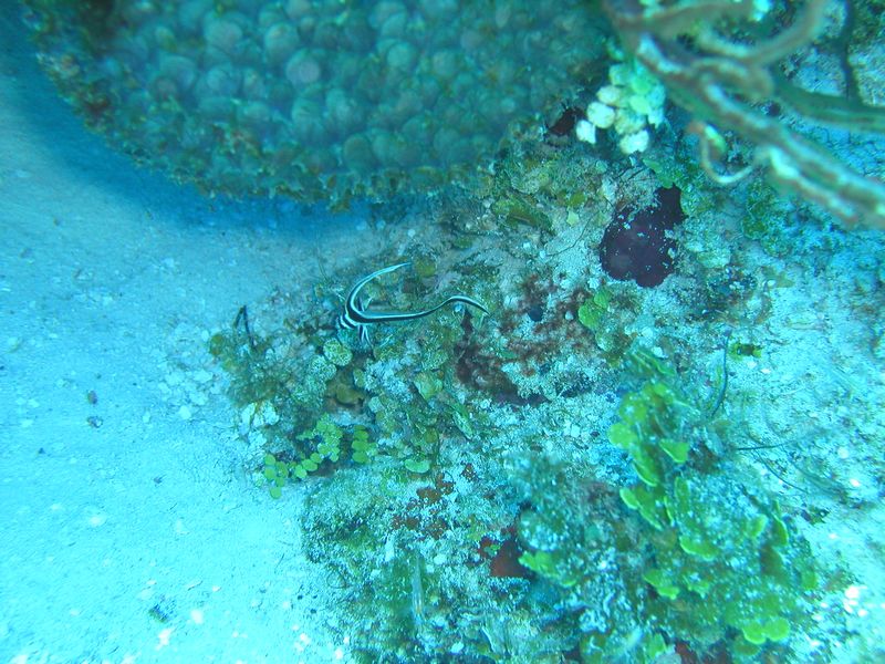 Click to see next picture