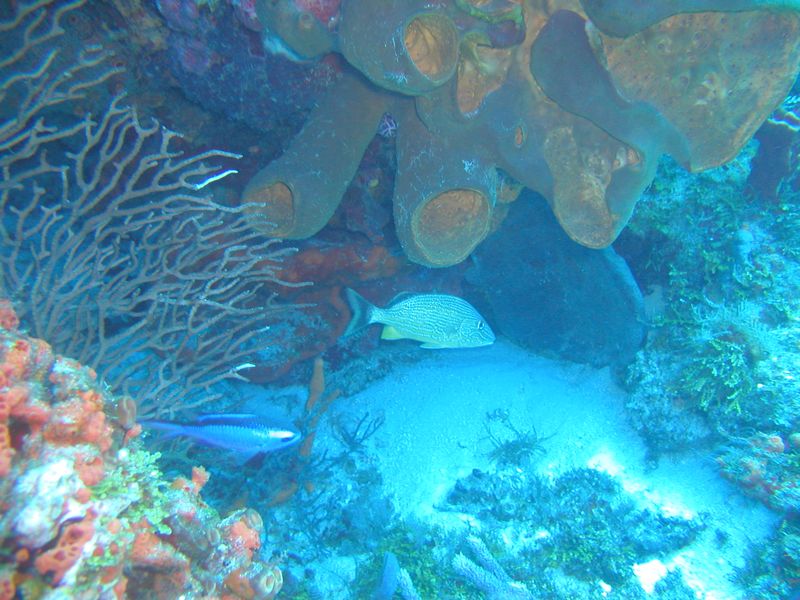 Click to see next picture