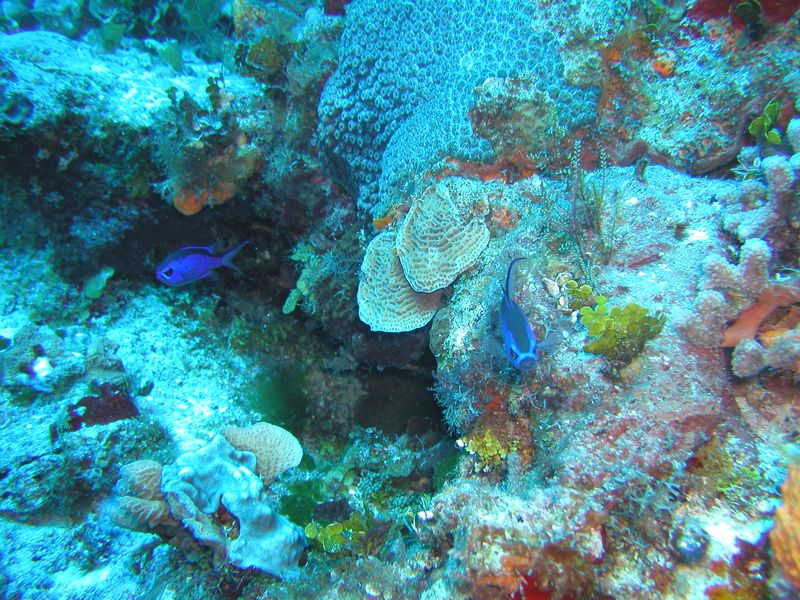 Click to see next picture