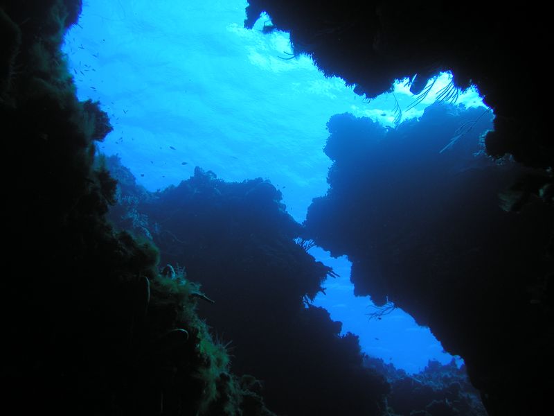 Click to see next picture
