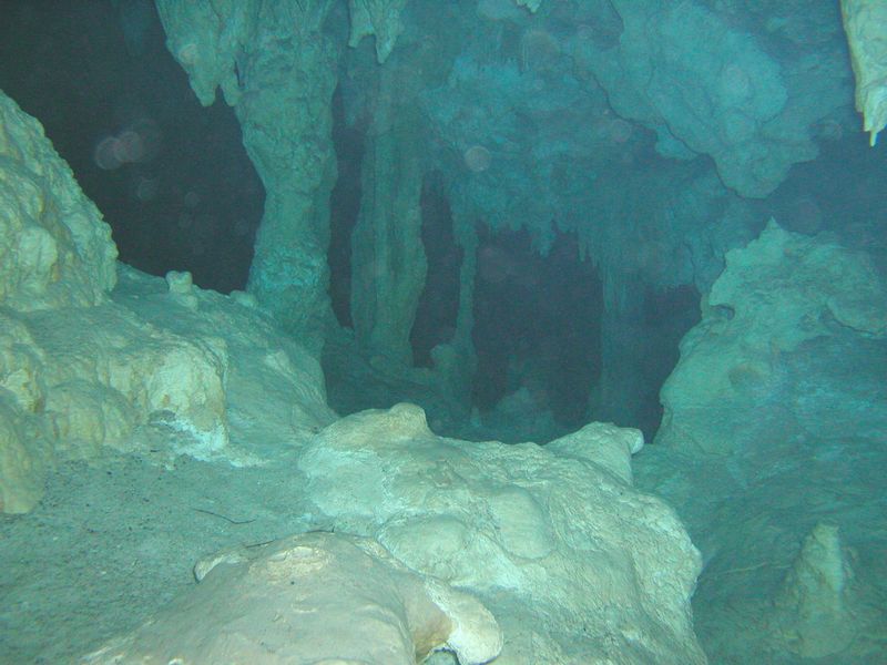 Click to see next picture