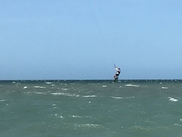 IMG 4420