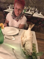 IMG 4442