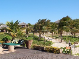 P5085484