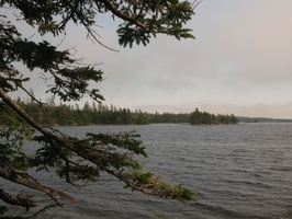 IMG 6560