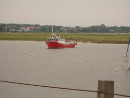IMG 6597