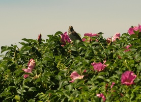 P7102414