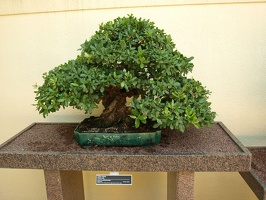 P7232504