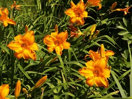 P7232510