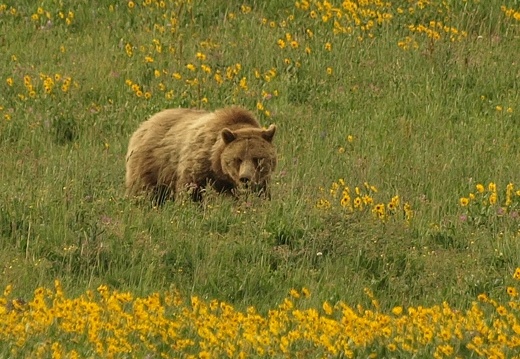 Amerikareise 2011