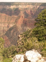 IMG 7746