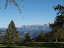 P5065353
