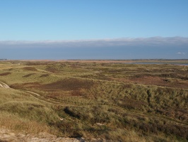P5202751
