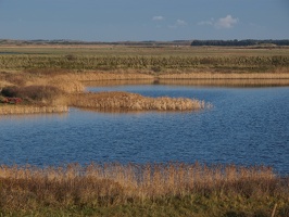 P5202756