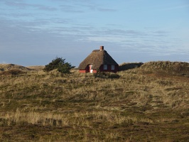 P5202769