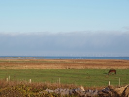 P5202774