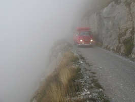 IMG 0240