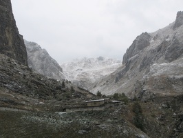 IMG 0241