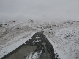 IMG 0252