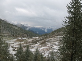 IMG 0253