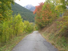 IMG 0267