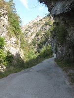IMG 0274