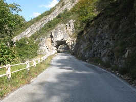 IMG 0278