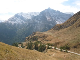 IMG 0293