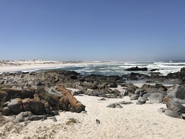 IMG 4740