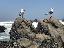 IMG 4752