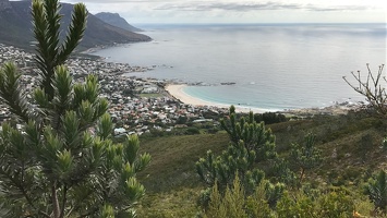 IMG 4795
