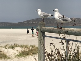 IMG 4864