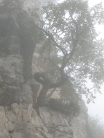 IMG 9245