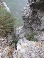 IMG 9248