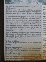 IMG 9252