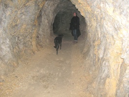 IMG 9257
