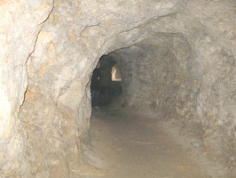 IMG 9258