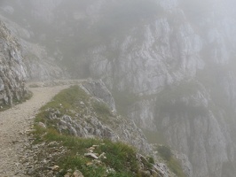 IMG 9261