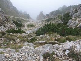 IMG 9275