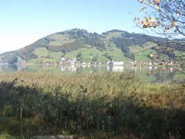 IMG 8181