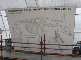 IMG 9743
