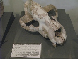 IMG 9751